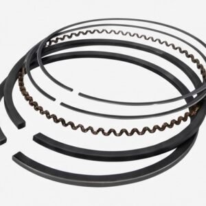 Ring Piston